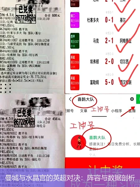 曼城與水晶宮的英超對決：陣容與數(shù)據(jù)剖析